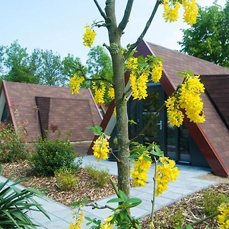 Bij Het Buitengoed Rijsbergen Exteriör bild